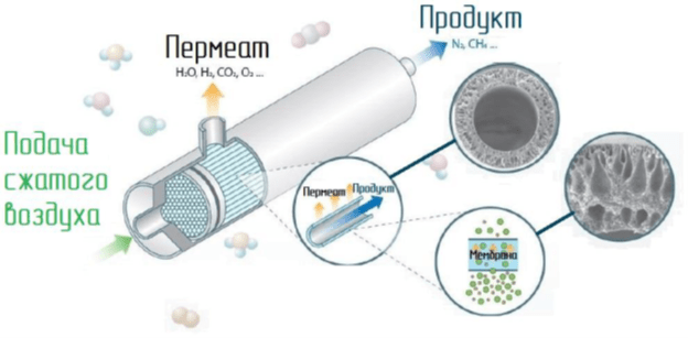 Мембрана.png